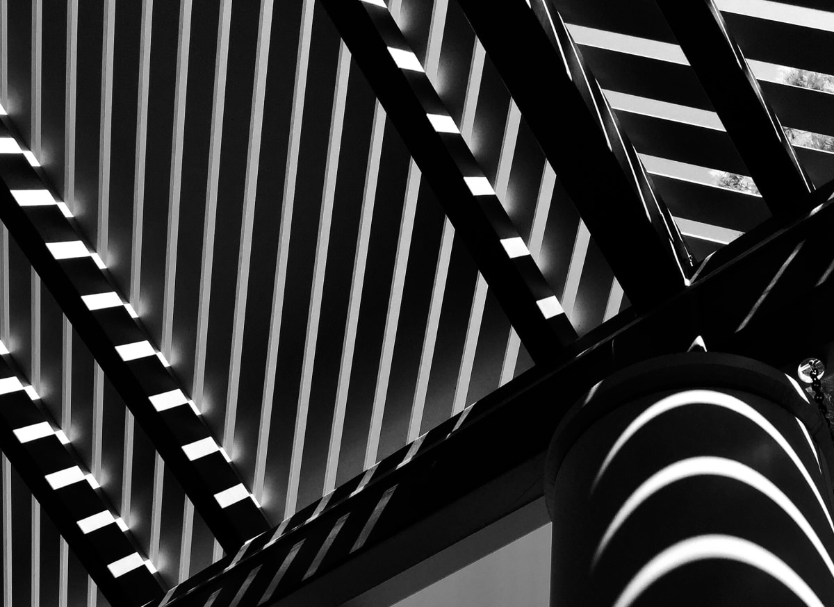 Blake and White by Anat Ambar 