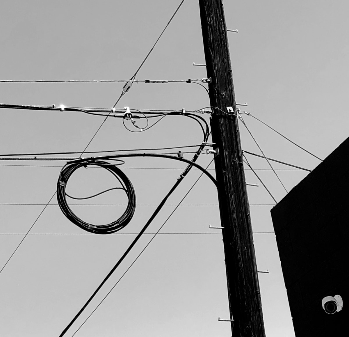 Electrical Wires by Anat Ambar 