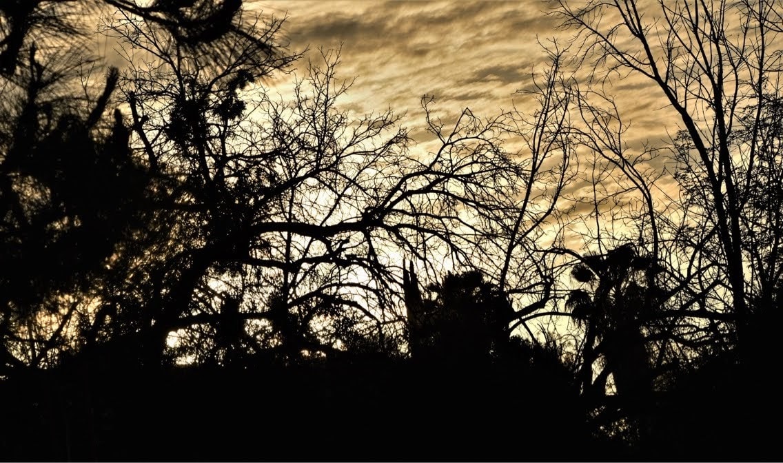 Sunset by Anat Ambar 