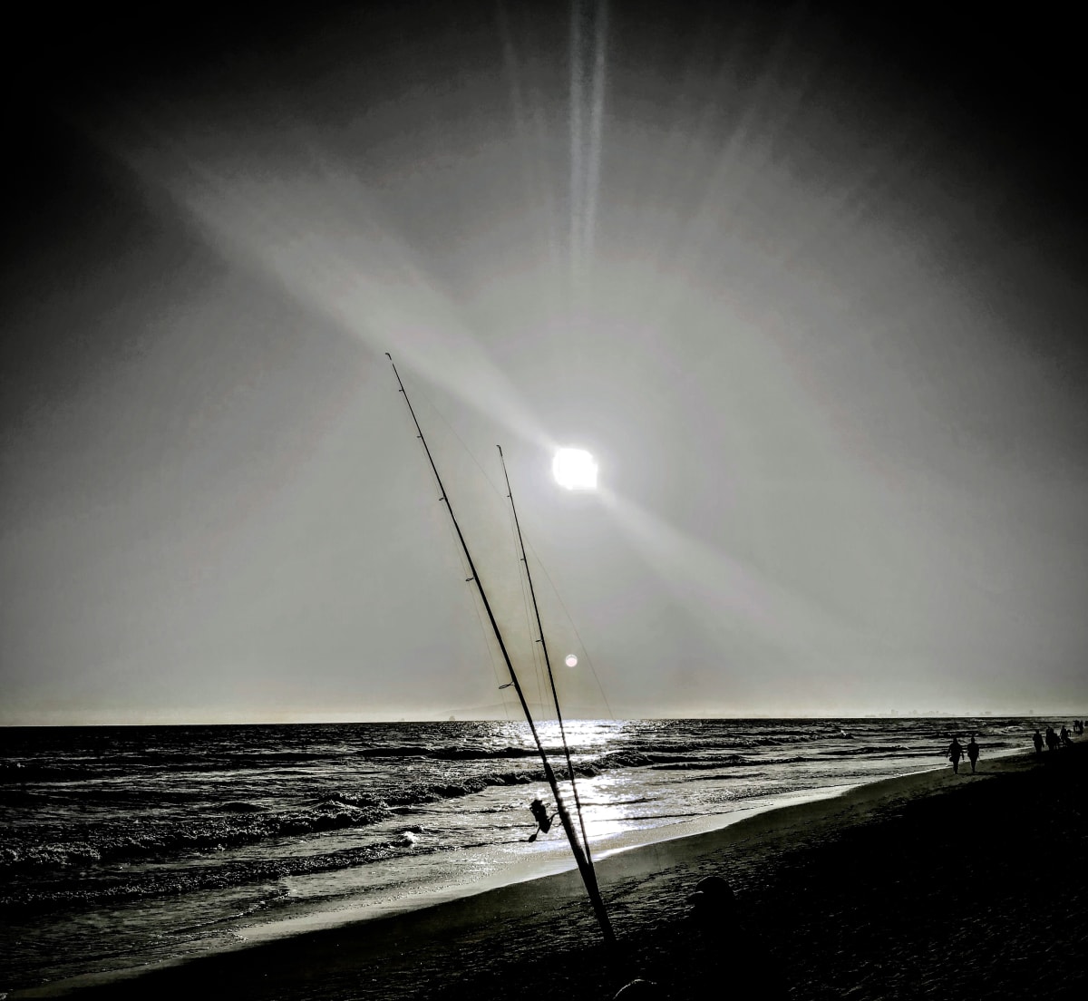 fishing Rods by Anat Ambar 