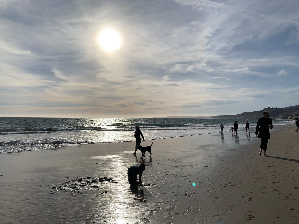Dog Beach by Anat Ambar 