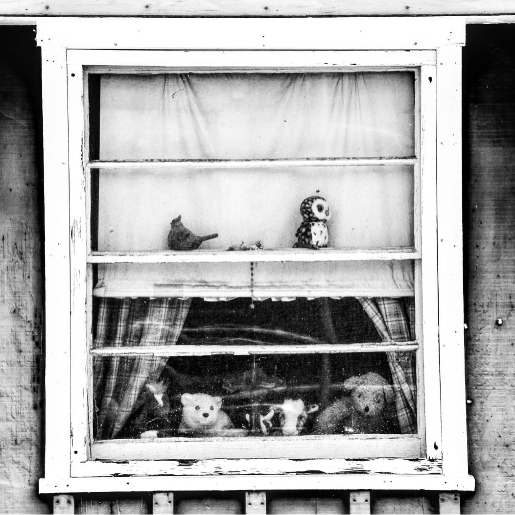 Teddy Bear by Anat Ambar 