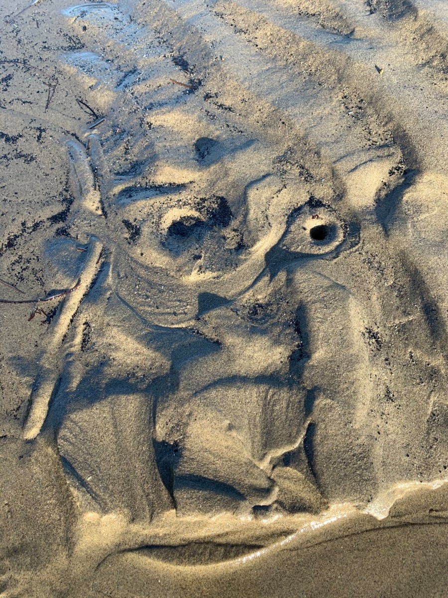 Nature Creation by Anat Ambar 