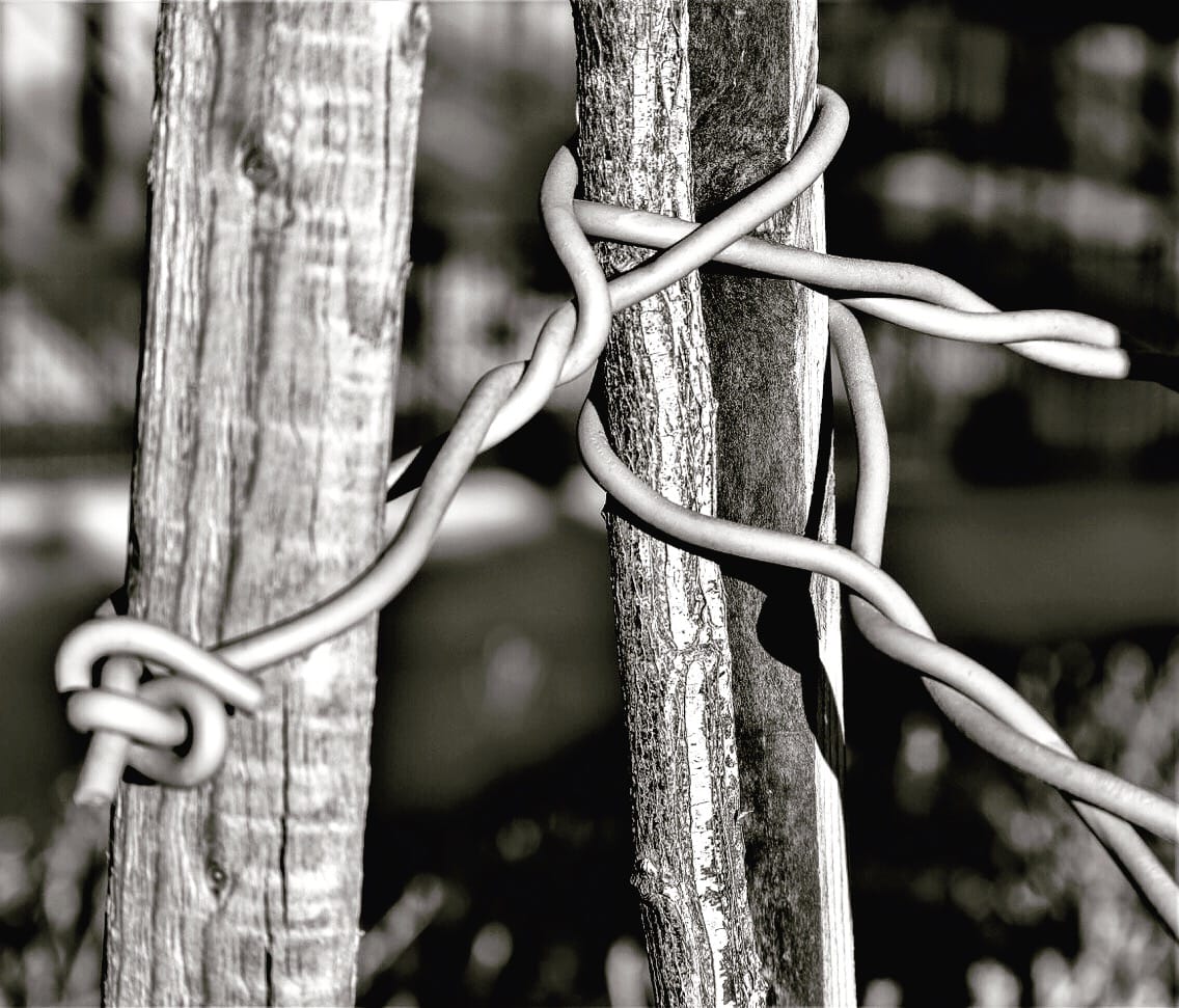 Wire Knots by Anat Ambar 