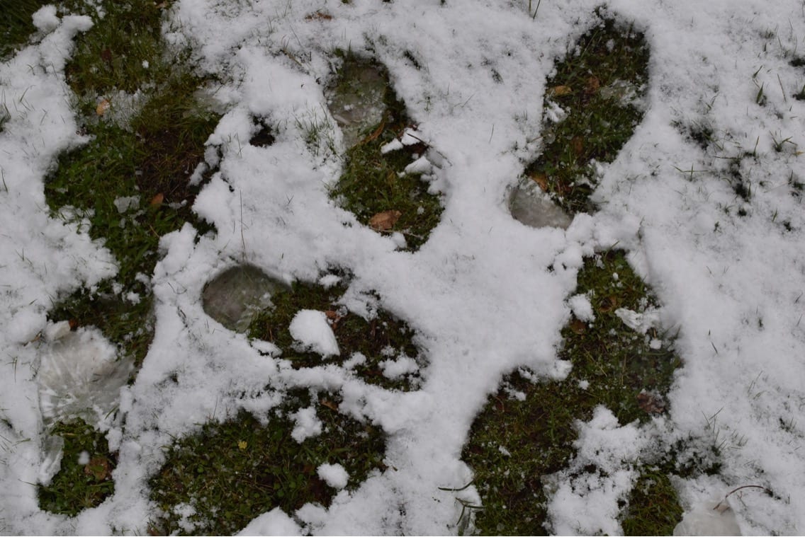 Snow Footprints by Anat Ambar 