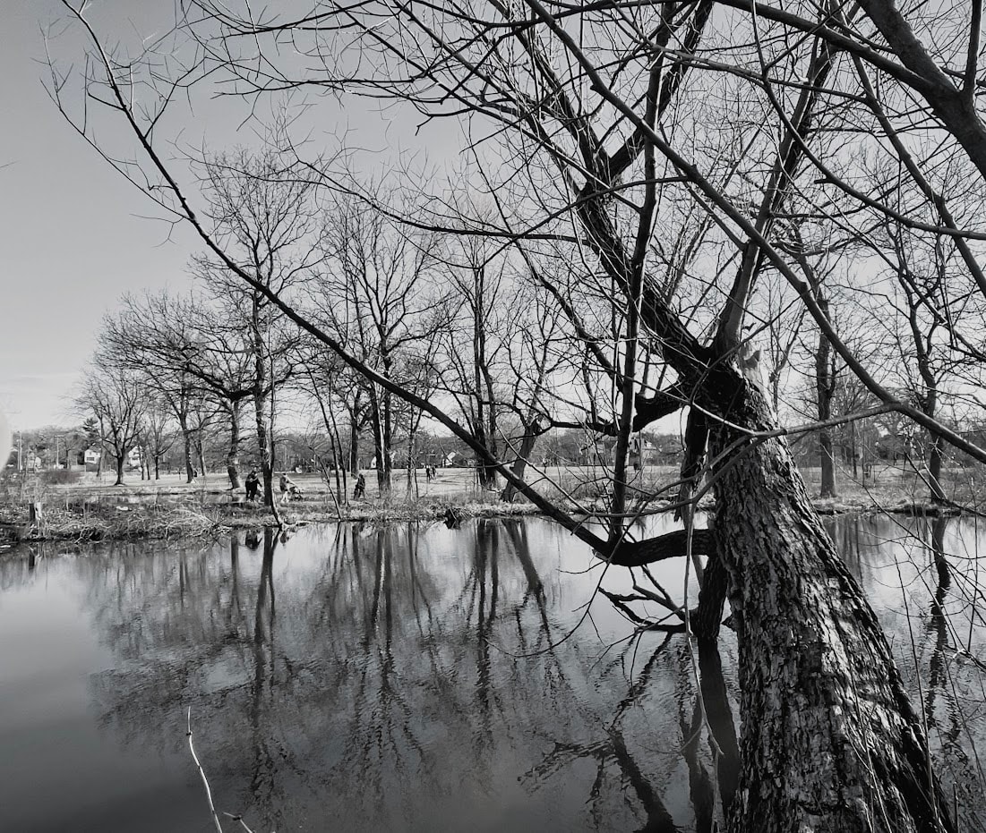 Lake View by Anat Ambar 