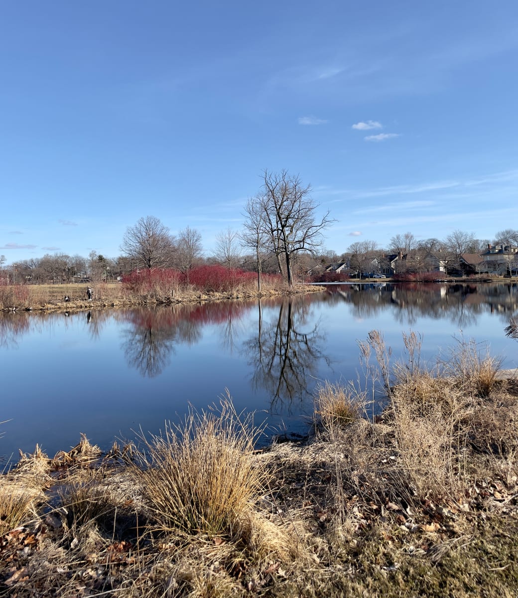 Milwaukee Landscape by Anat Ambar 