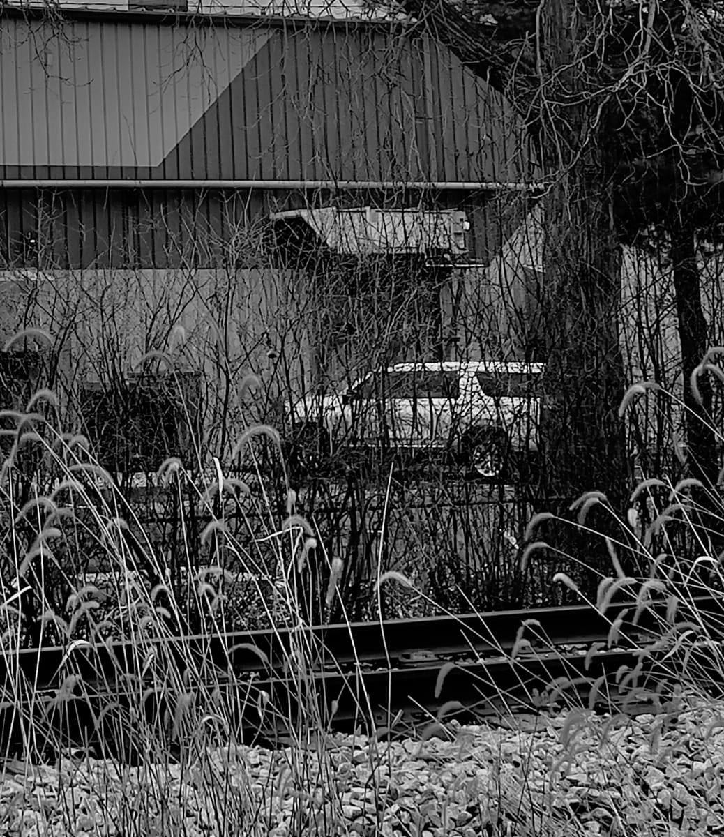 Behind the Bushes by Anat Ambar 
