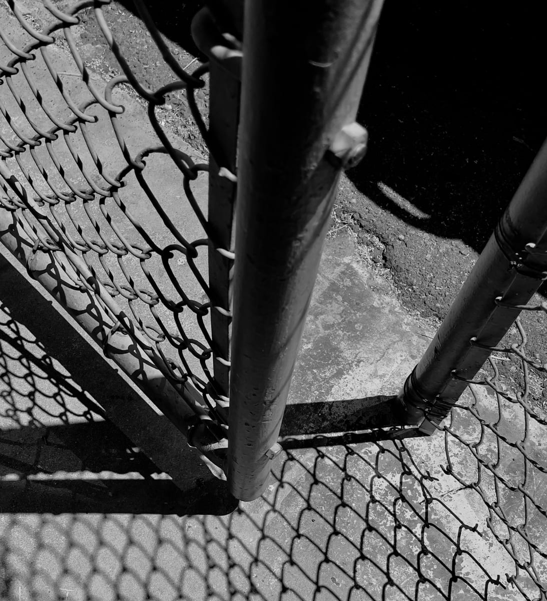 Wire Fence by Anat Ambar 