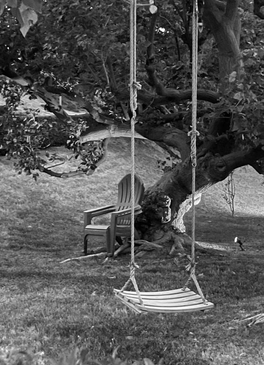 Swing by Anat Ambar 
