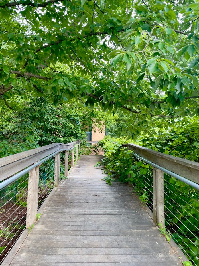 Bridge by Anat Ambar 