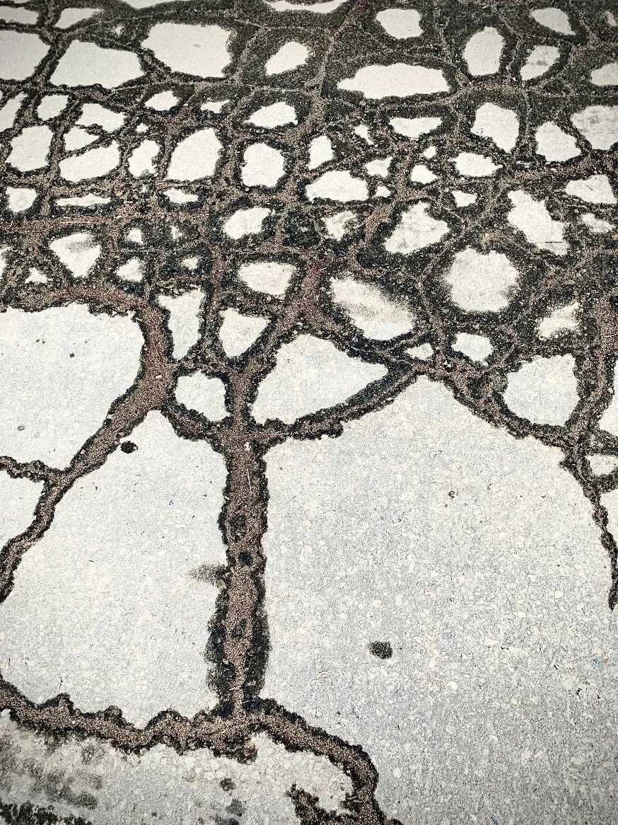 Cracked Asphalt Patterns by Anat Ambar 