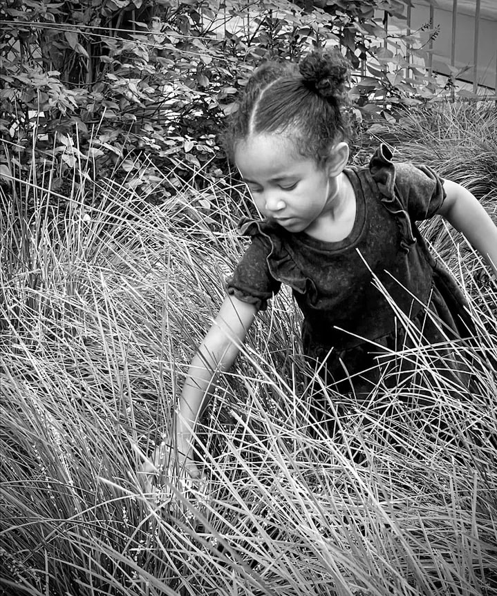 In The Bushes by Anat Ambar 