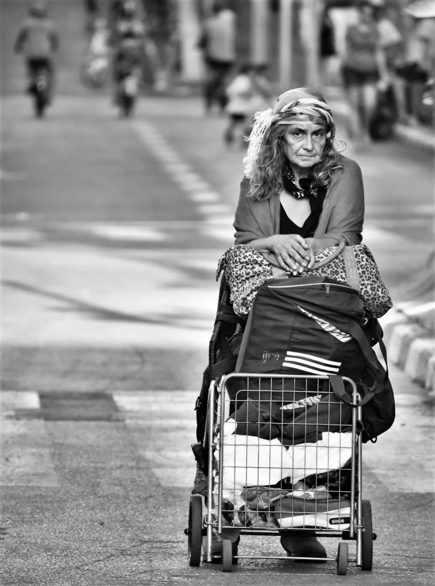 Woman With Cart by Anat Ambar 