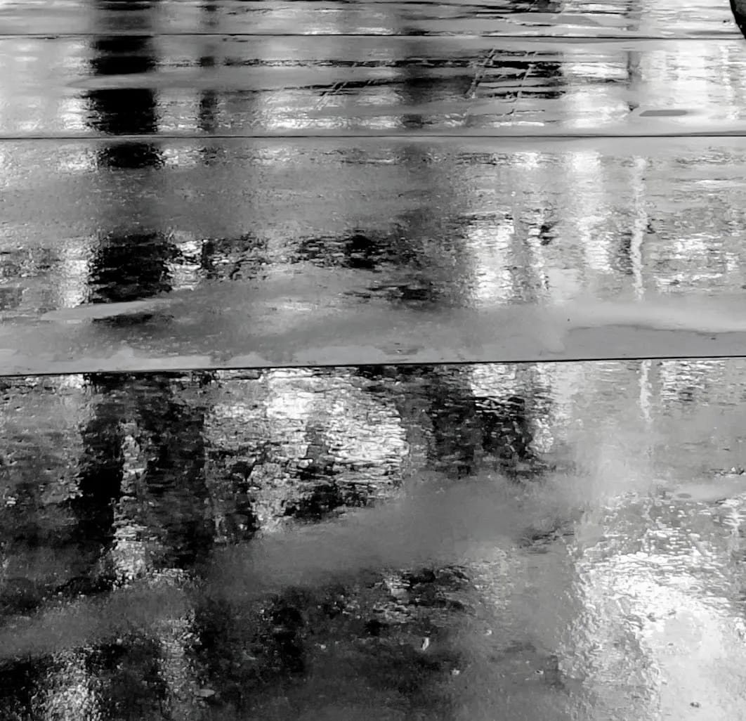 Drying Puddle Shapes by Anat Ambar 