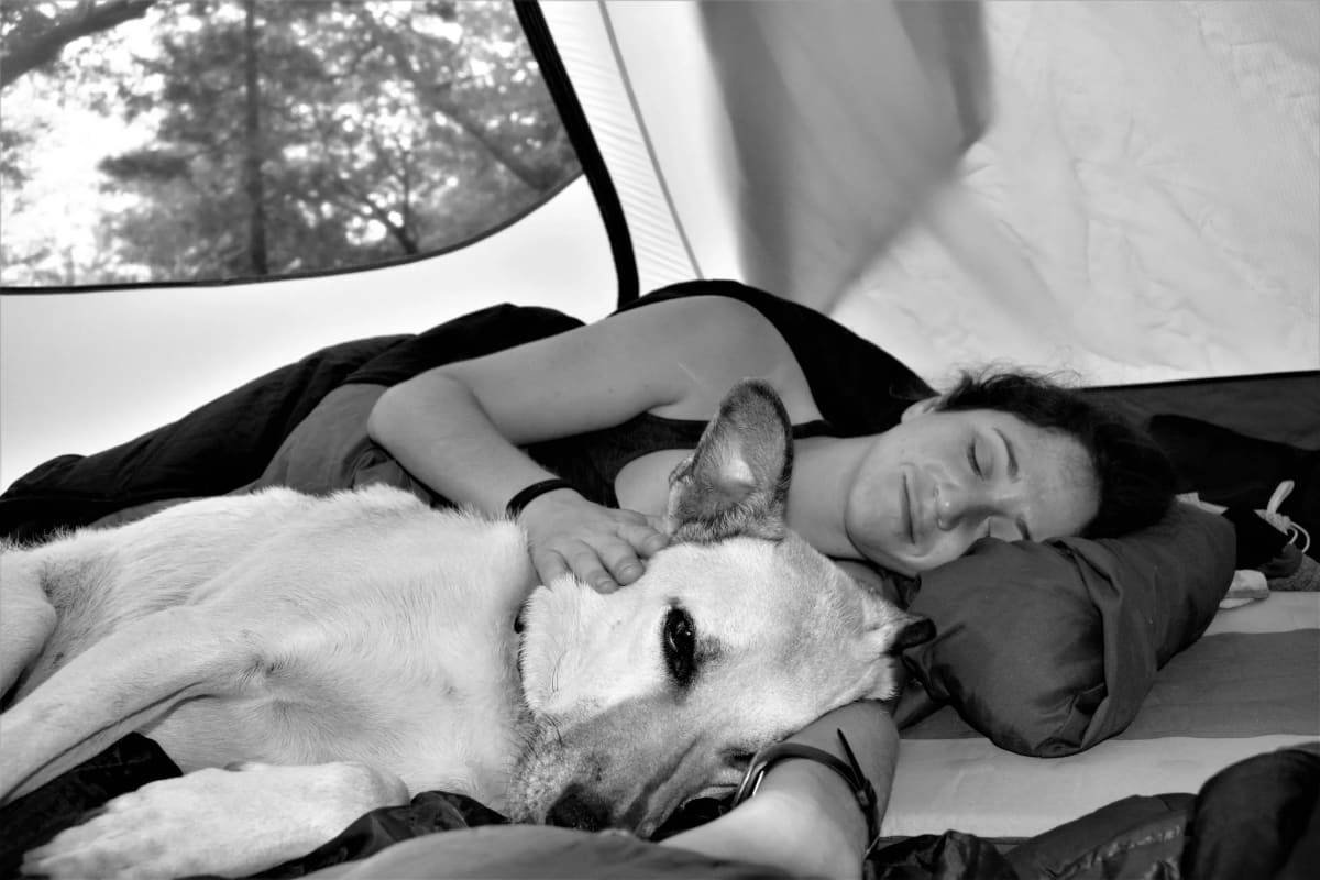 Camping by Anat Ambar 