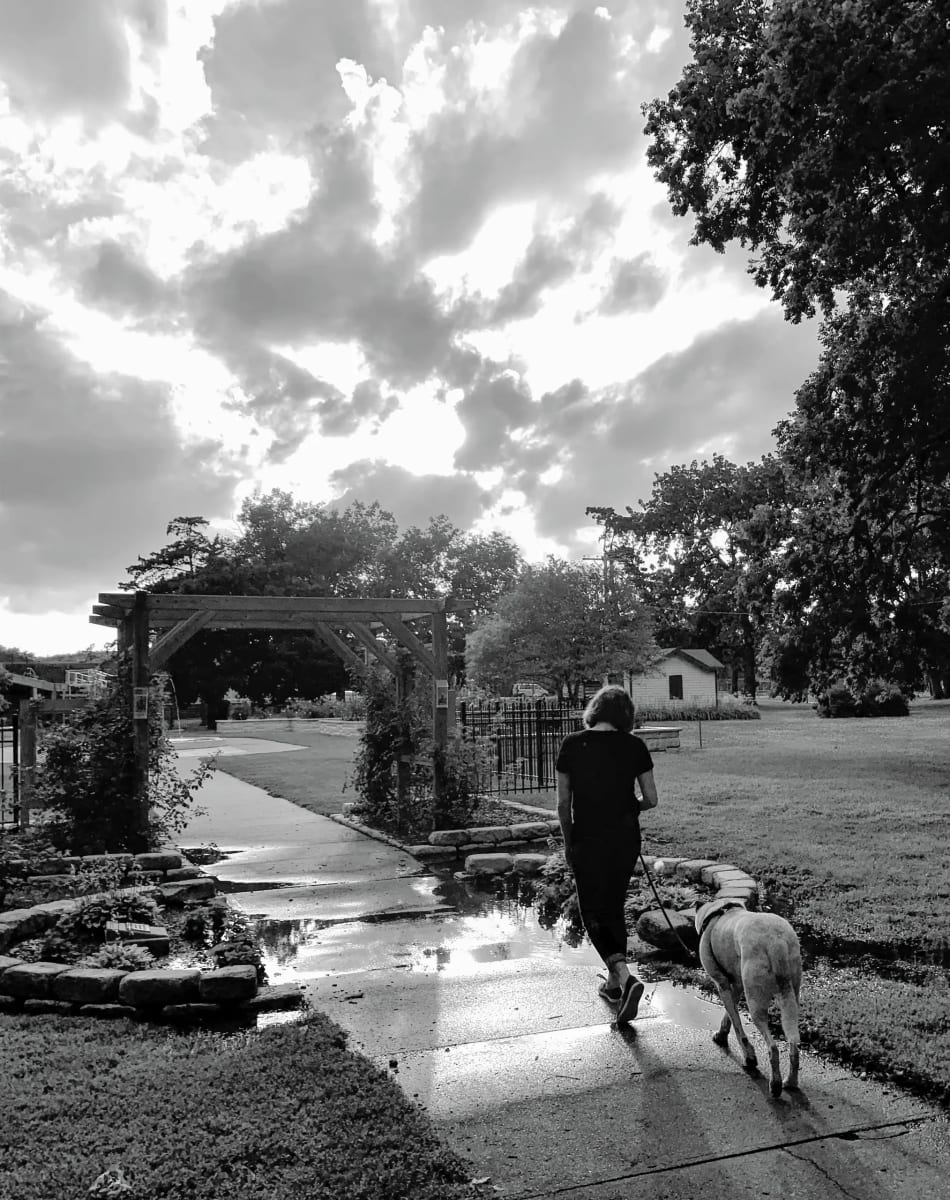 Dog Walking by Anat Ambar 