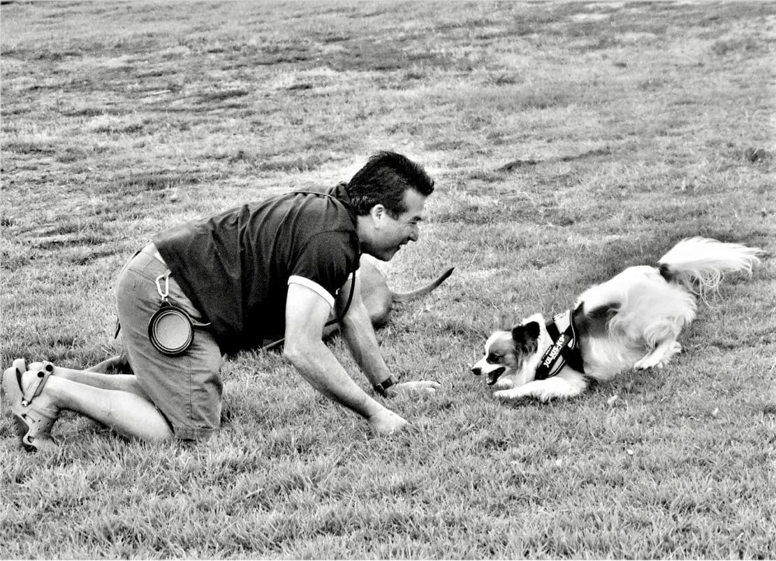 Dog Play by Anat Ambar 