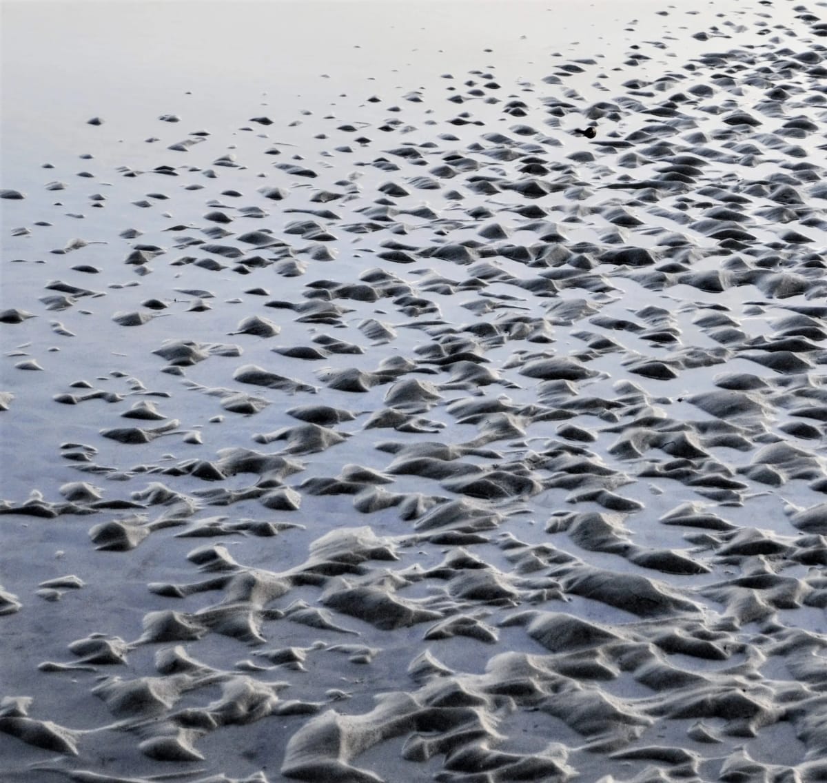 Sand Ripples by Anat Ambar 