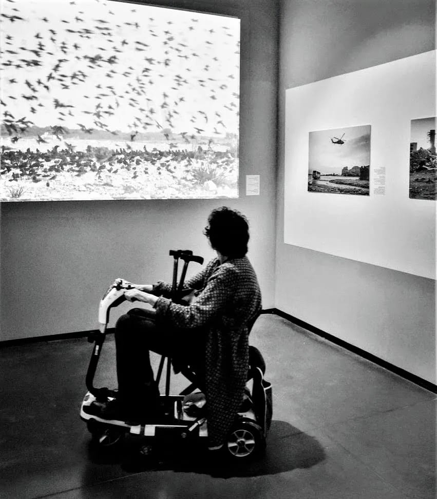 Museum Visit by Anat Ambar 