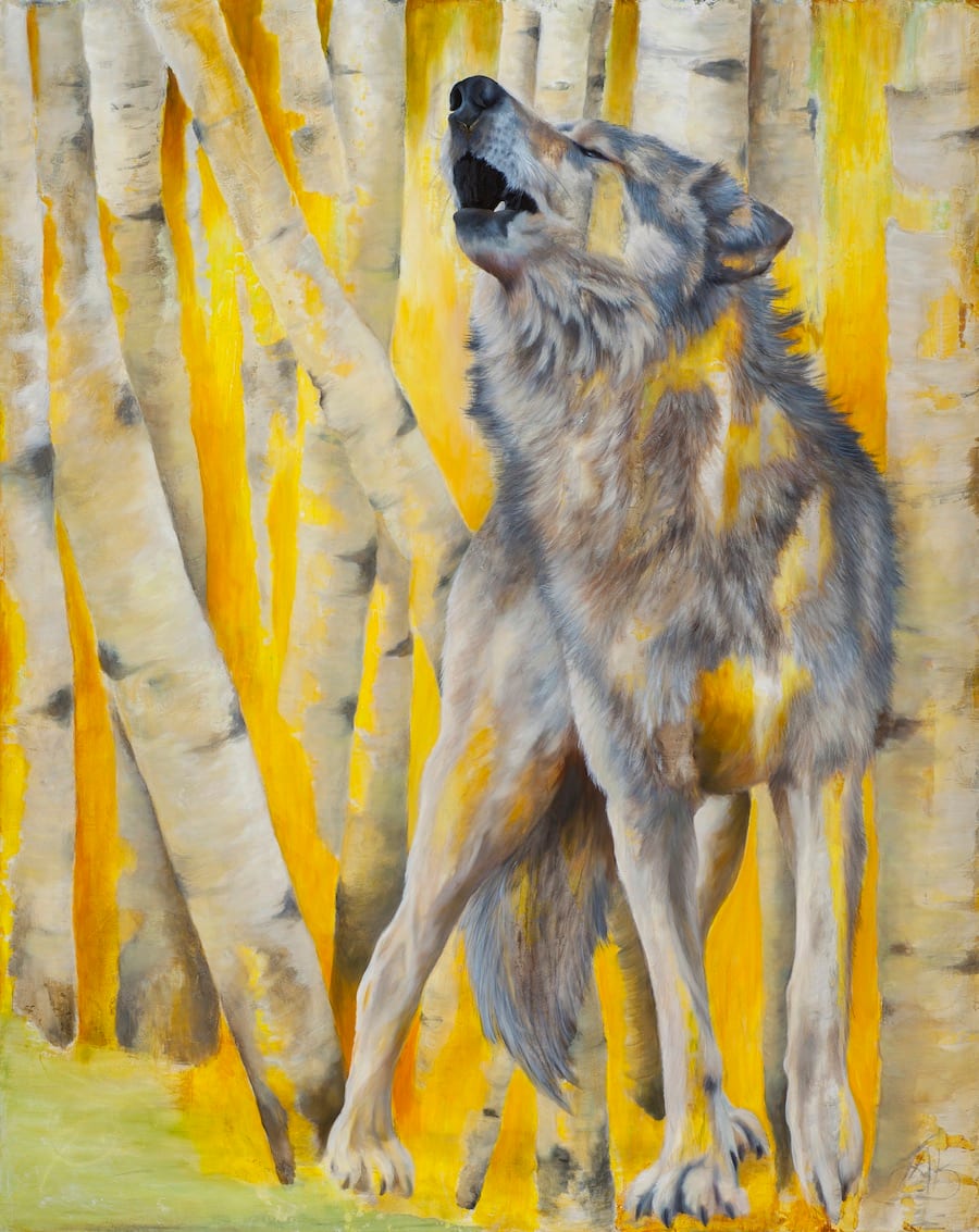 Call of the Wild, Image 1.