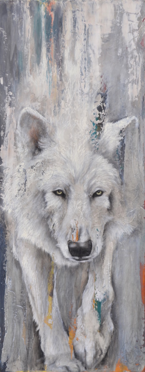 Arctic Wolf by Tabitha Benedict 