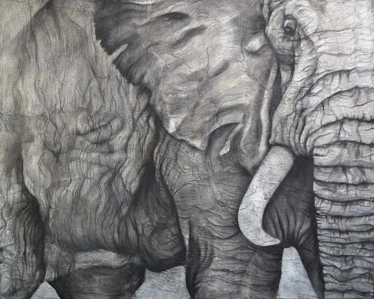 Surface by Tabitha Benedict, Image 1.