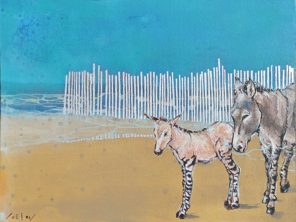 Zonkeys / Burros- cebras by eE.l.os 