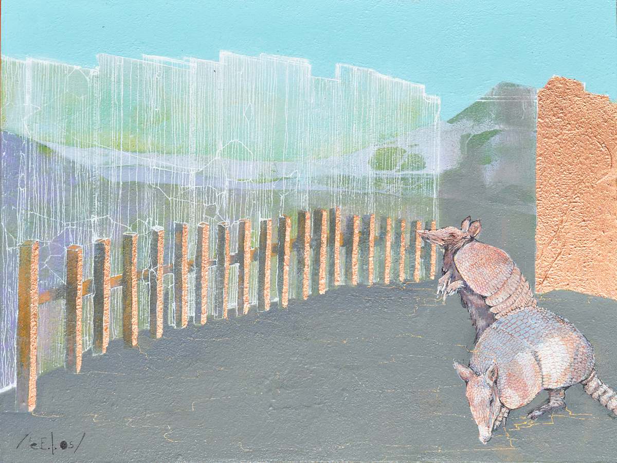 Armadillo / Cachicamo by eE.l.os 
