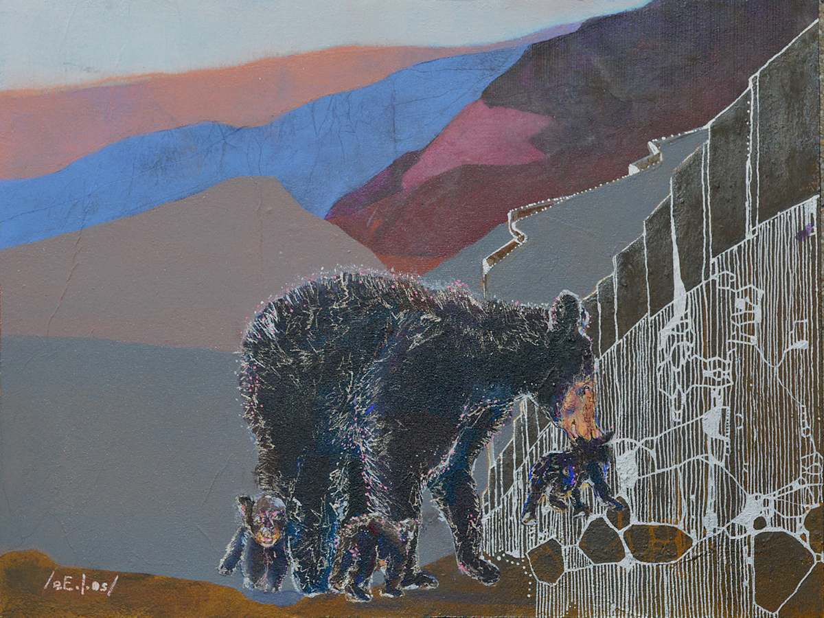 Black bear / Oso negro by eE.l.os, Image 1.
