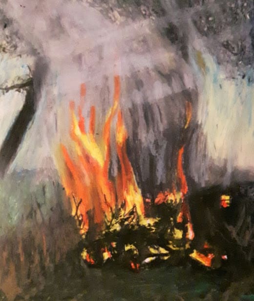 Fire by Markus Thonett 