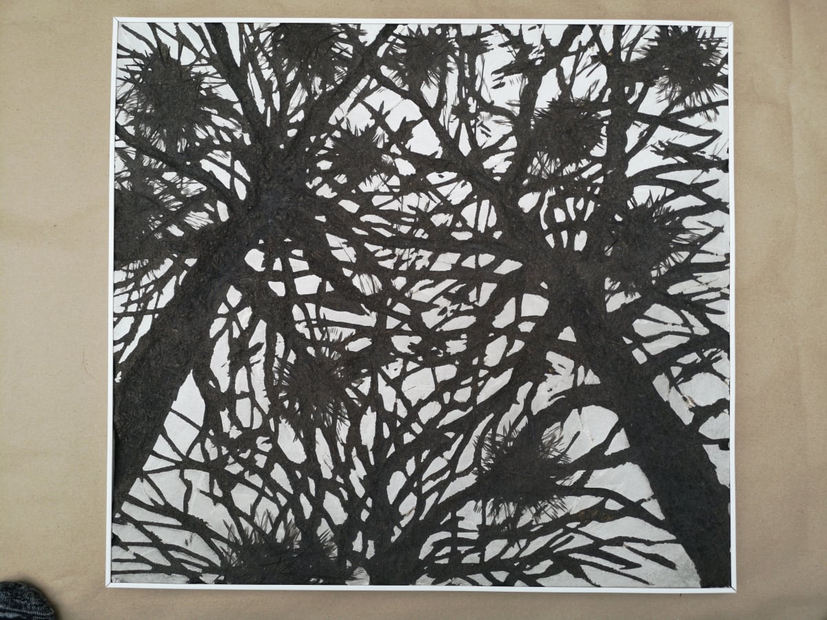 Looking Up by Markus Thonett  Image: Sometimes when looking up...