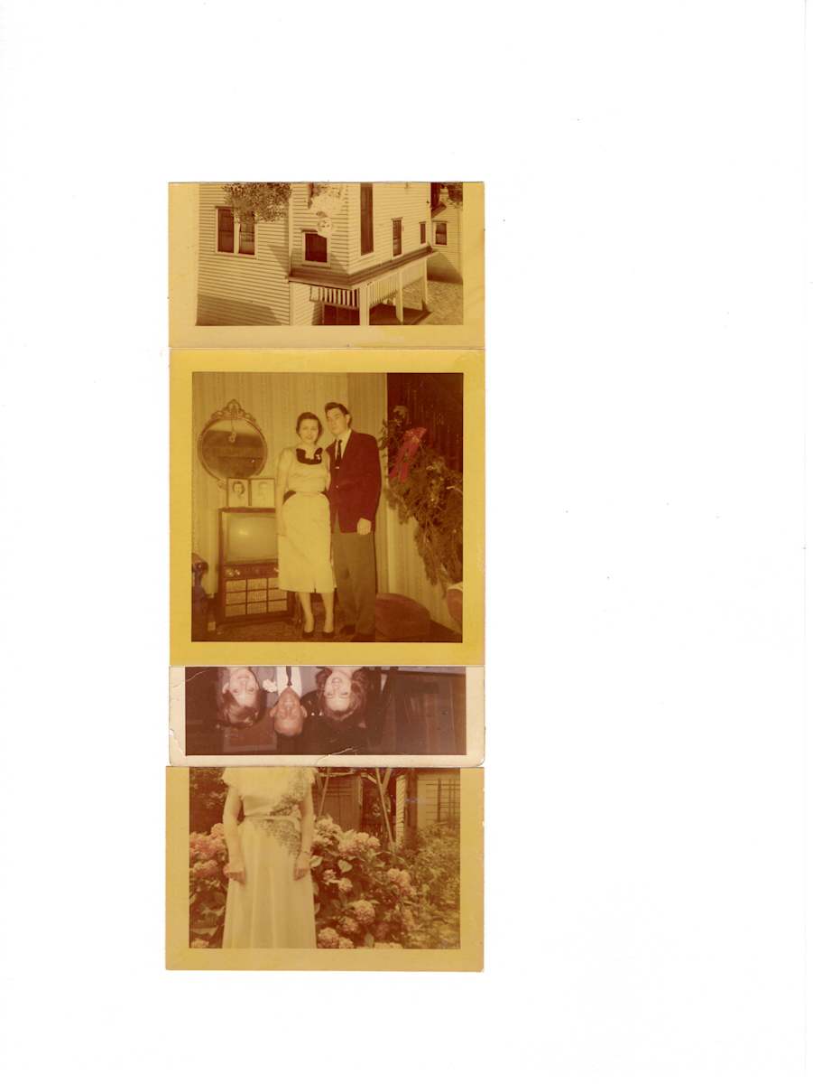 50/55/59/50 by Samm McAlear 