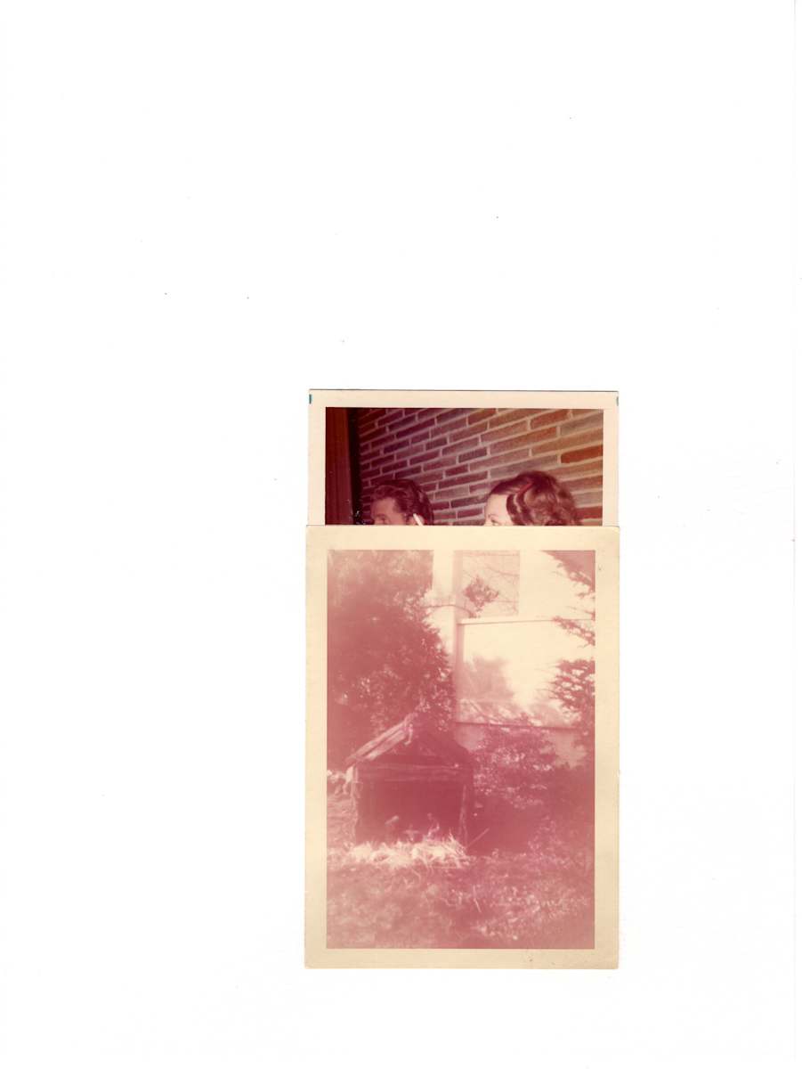 74/55 by Samm McAlear 