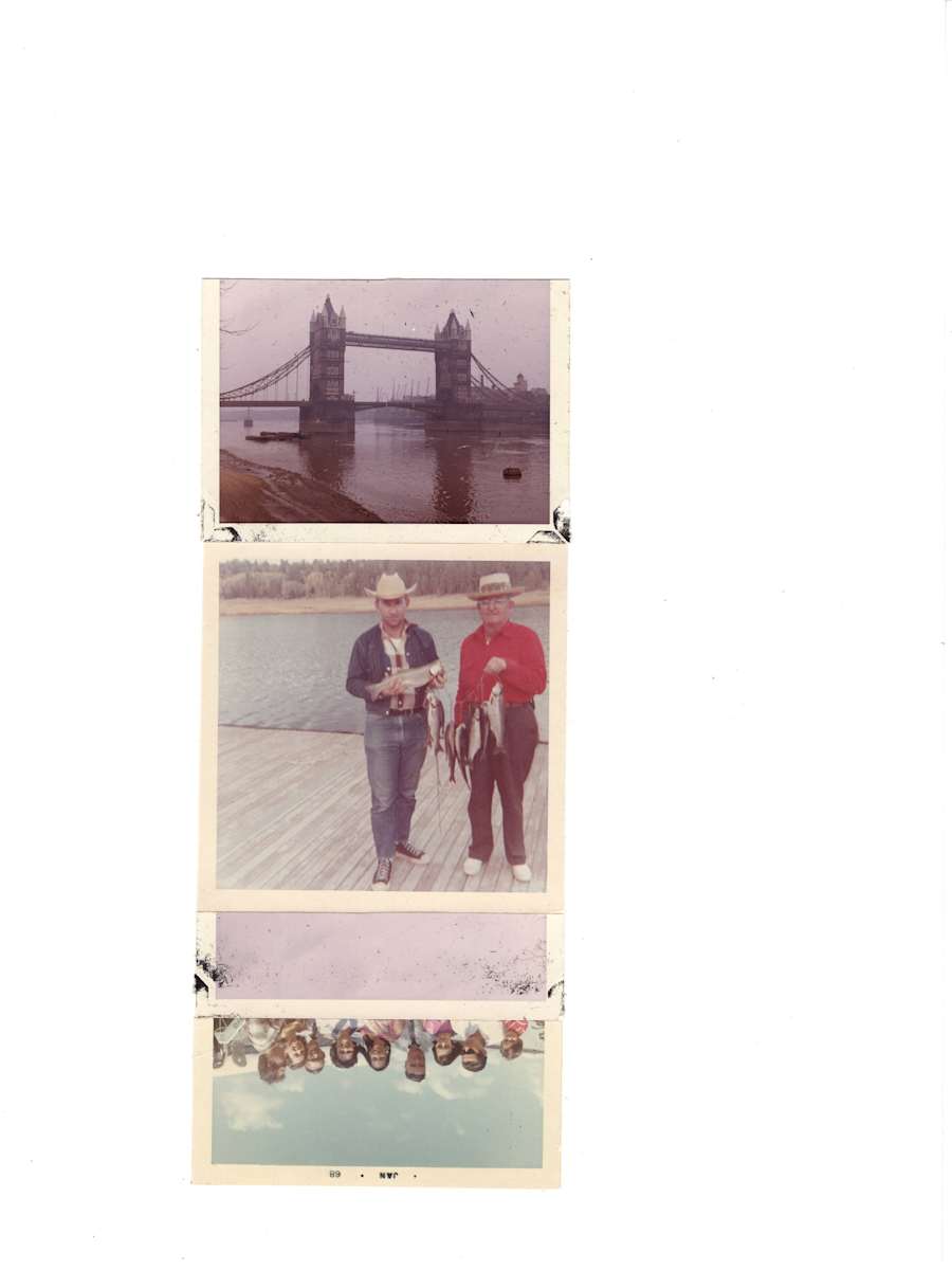 65/69/65/68 by Samm McAlear, Image 2.