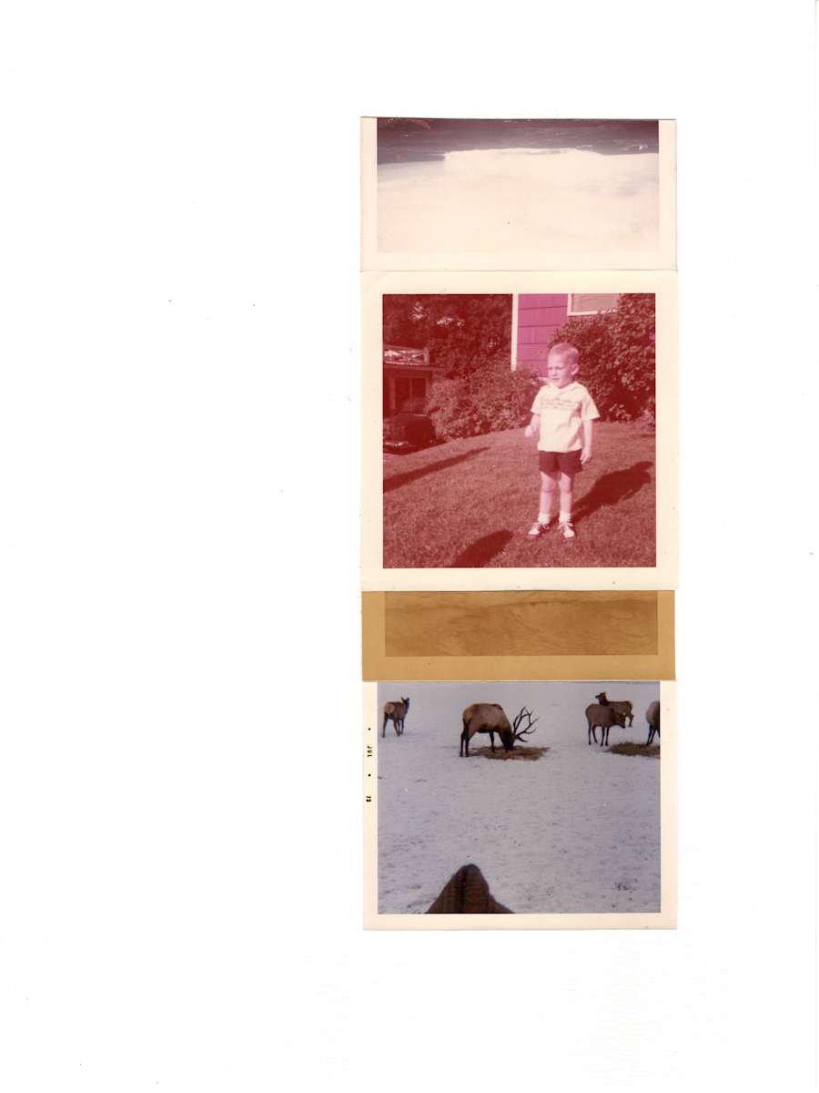 75/55/52/73 by Samm McAlear 