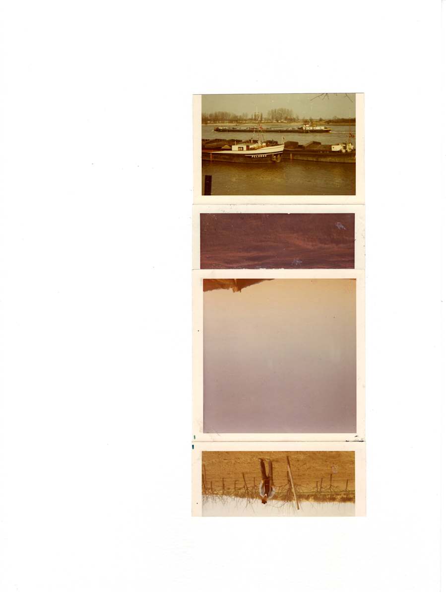 65/64/63/64 by Samm McAlear 