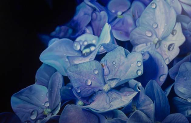 Garden of Gratitude by Heather Bradbury  Image: Hydrangeas hold a special place in mychildhood and adult memories. Growing up, my Mum’s love for gardening meant there were always beautiful flower arrangements in our home. What better way to celebrate these cherished memories than through a painting adorned with delicate waterdrops?

This artwork is part of the collaborative exhibition Meticulous Harmony, created alongside glass artist Kristin McFarlane. Kristin has meticulously hand-embedded hydrangea leaves with silver leaf into glass, forming a stunning chandelier-like arrangement that beautifully complements the hydrangea painting’s composition. Together, our work merges the precision of photo-realistic painting with the elegance of glass artistry, honoring nature and shared memories in perfect harmony.


