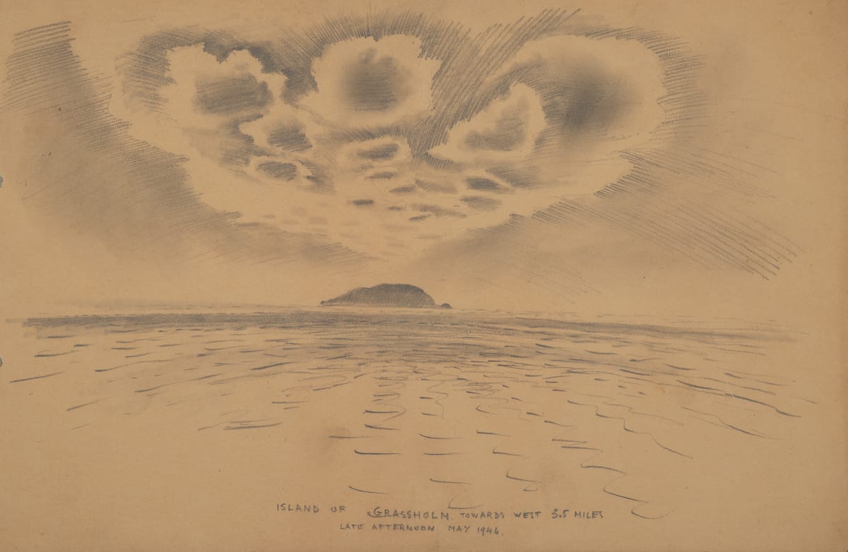 Untitled (Island of Grassholm) by Michael Lester, Image 3.