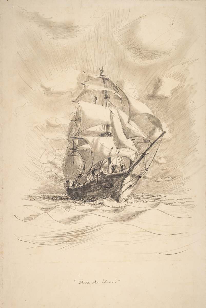 Untitled (“There, she blows!”) by Michael Lester  Image: Recto