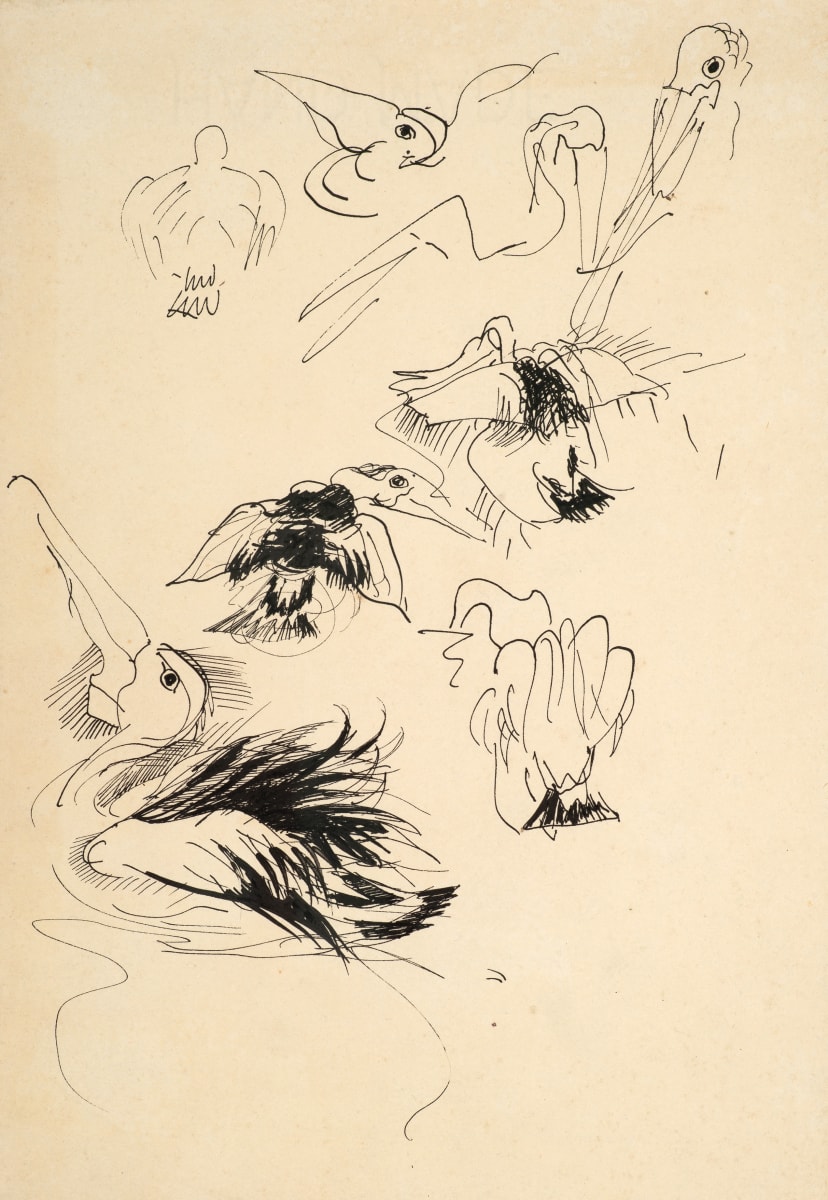 Untitled (Pelican Study) by Michael Lester  Image: Recto