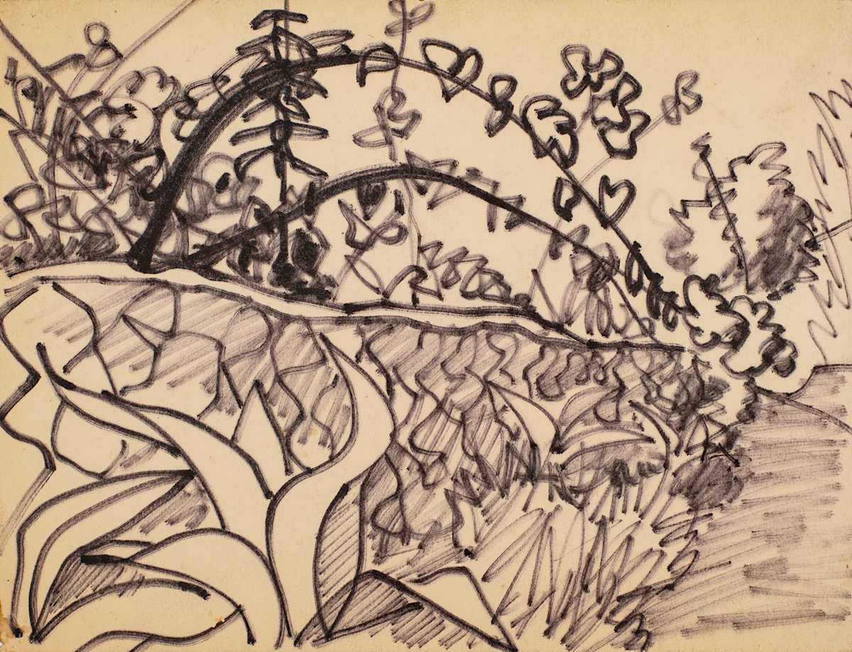 Untitled (Garden Sketch) by Michael Lester  Image: Recto