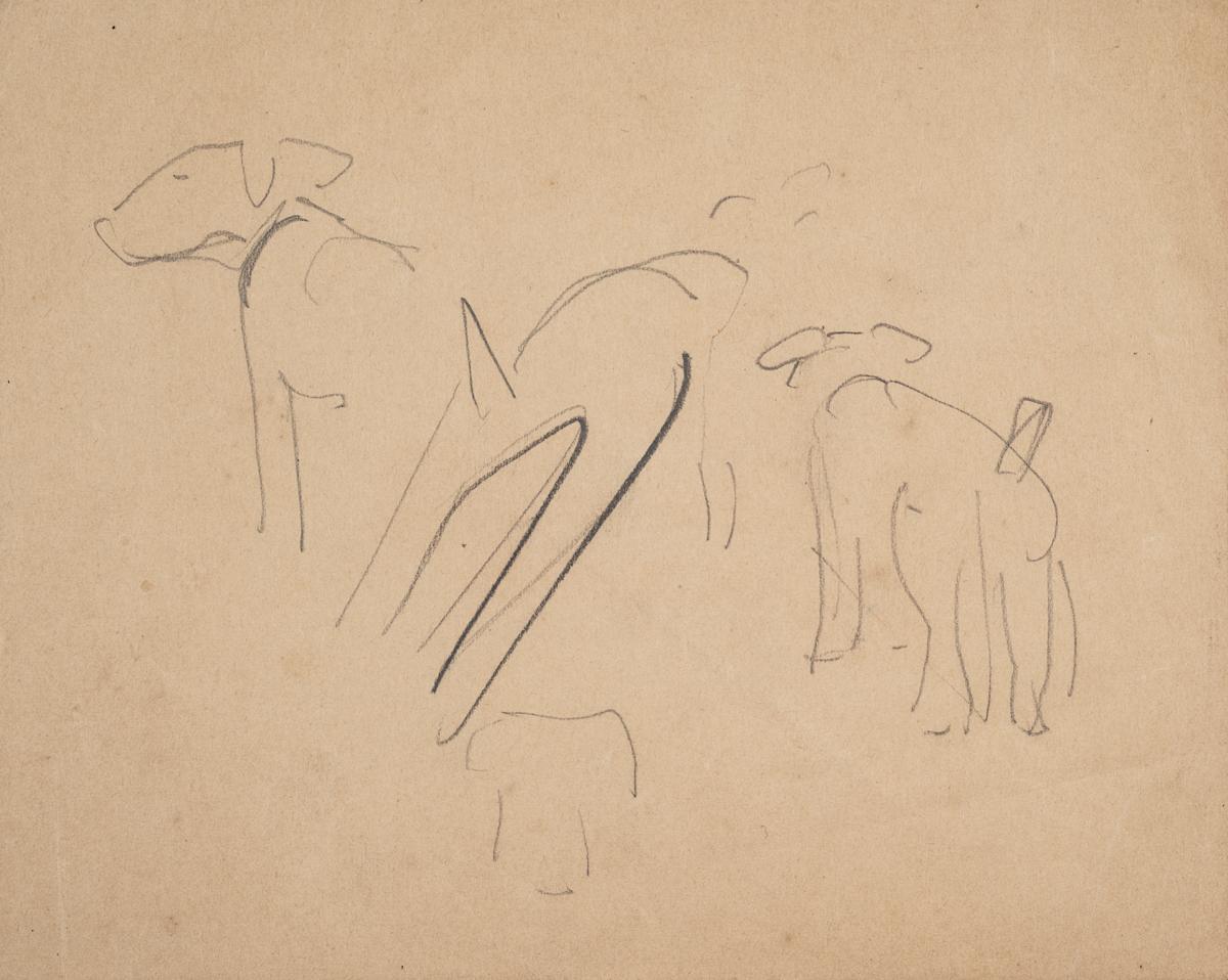 Untitled (Dog Sketches) by Michael Lester  Image: Recto