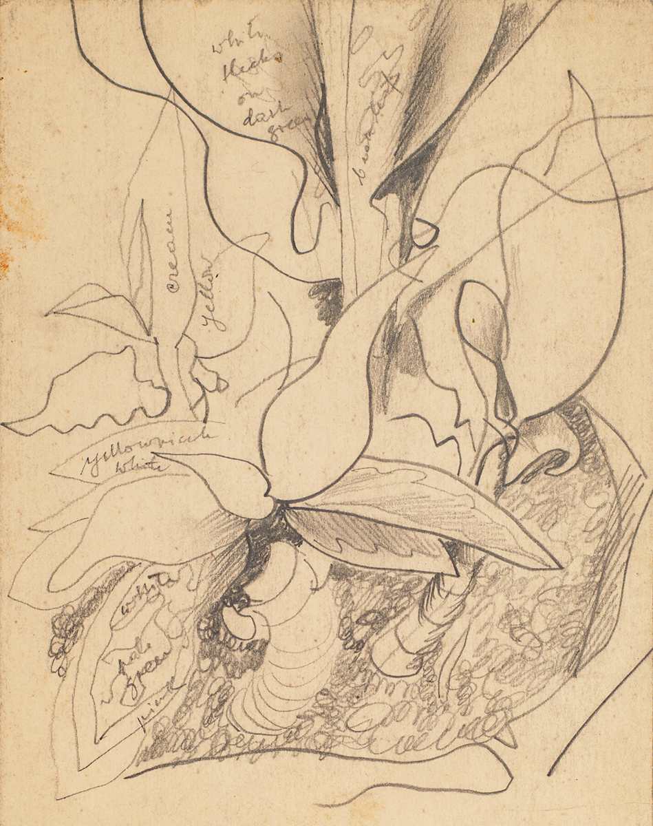 Untitled (Plant Study) by Michael Lester, Image 1.