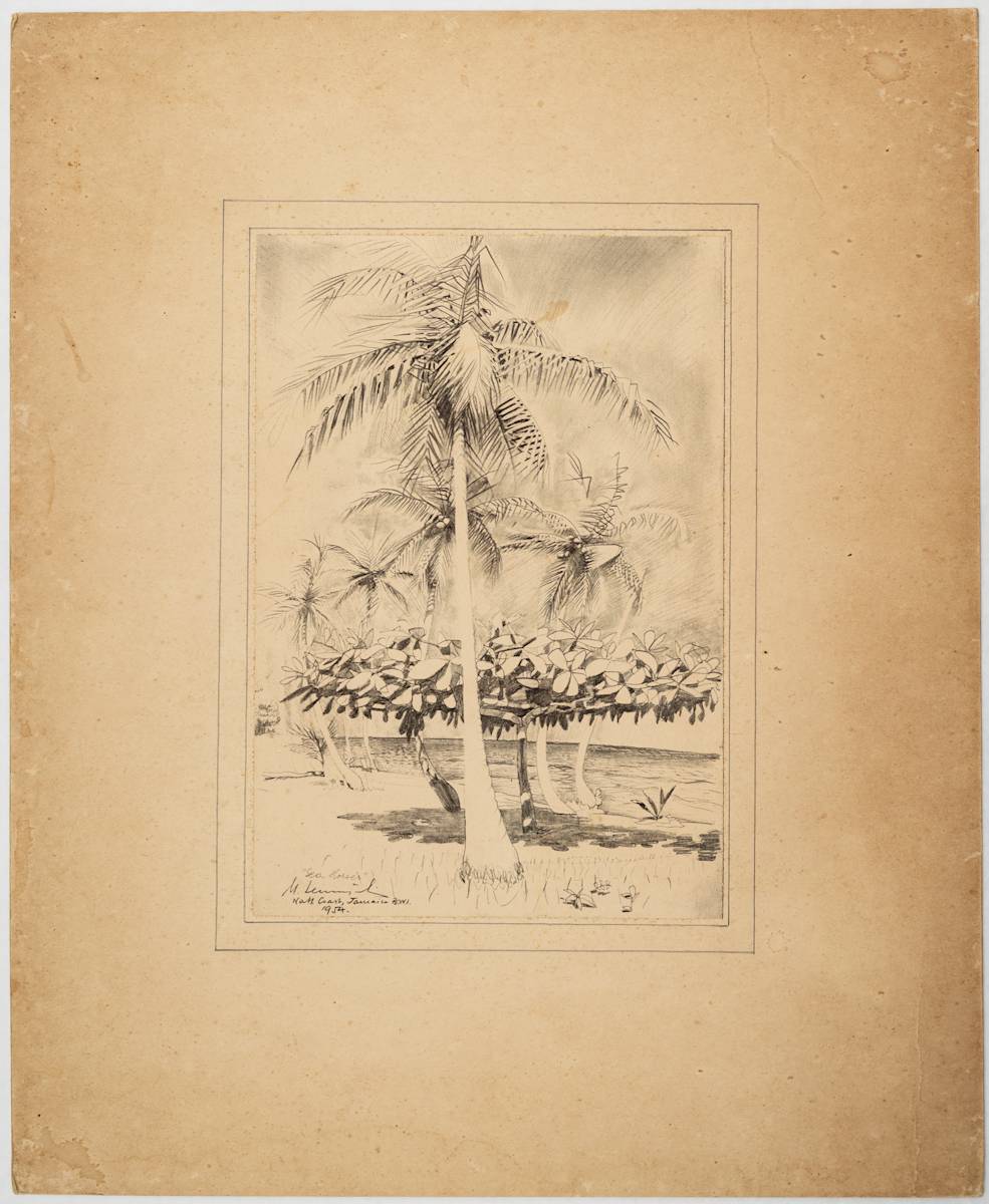 Untitled (Sea Horses - Beach View) by Michael Lester  Image: Recto