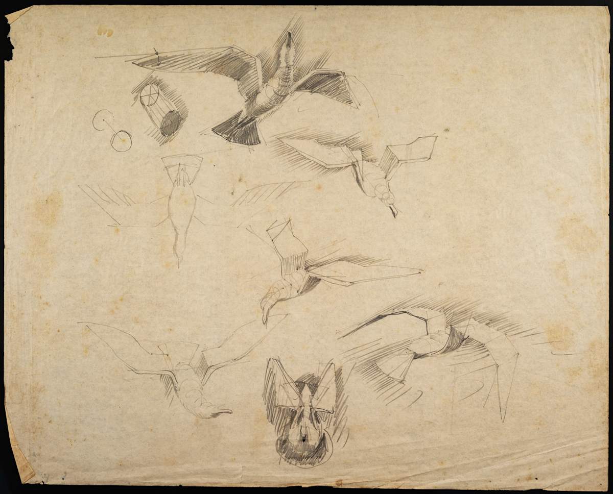 Untitled (Flying Bird Study III) by Michael Lester  Image: Recto