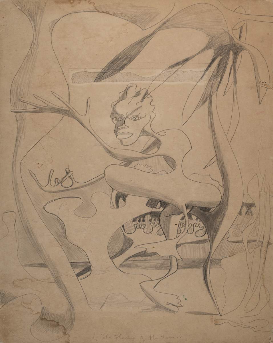 Untitled (The Flame of the Forest) by Michael Lester, Image 1.