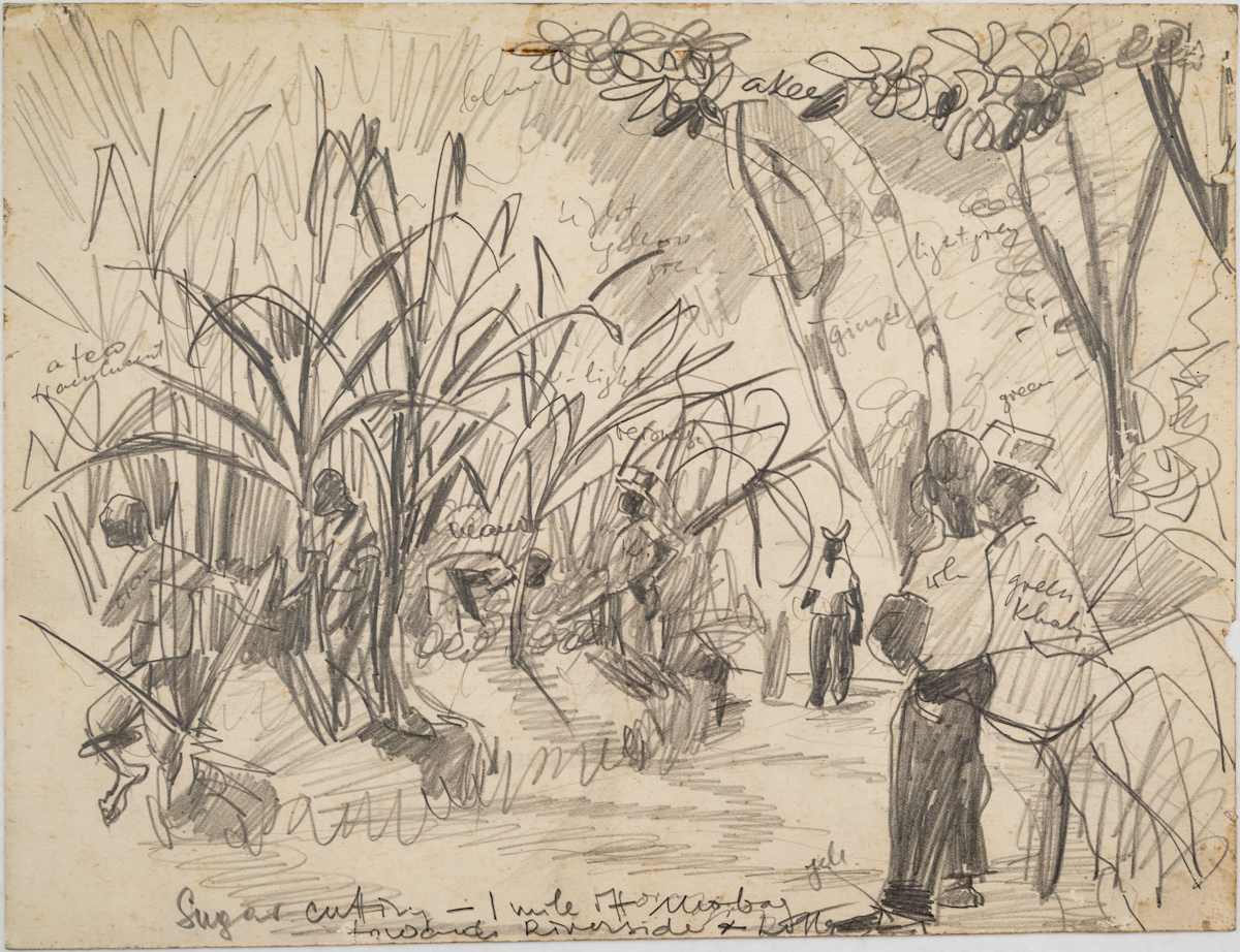 Untitled (Sugar Cane Cutting) by Michael Lester  Image: Recto