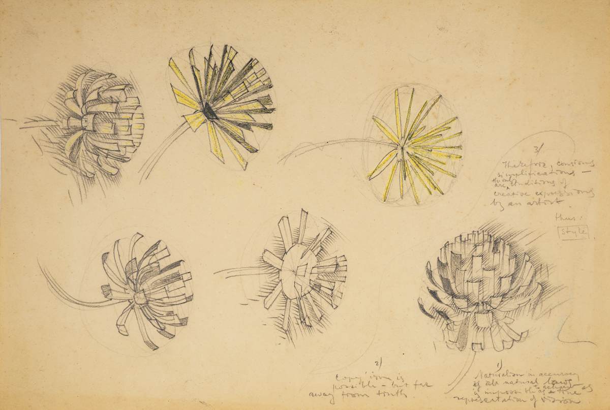 Untitled (Naturalistic Flower Study) by Michael Lester  Image: Recto