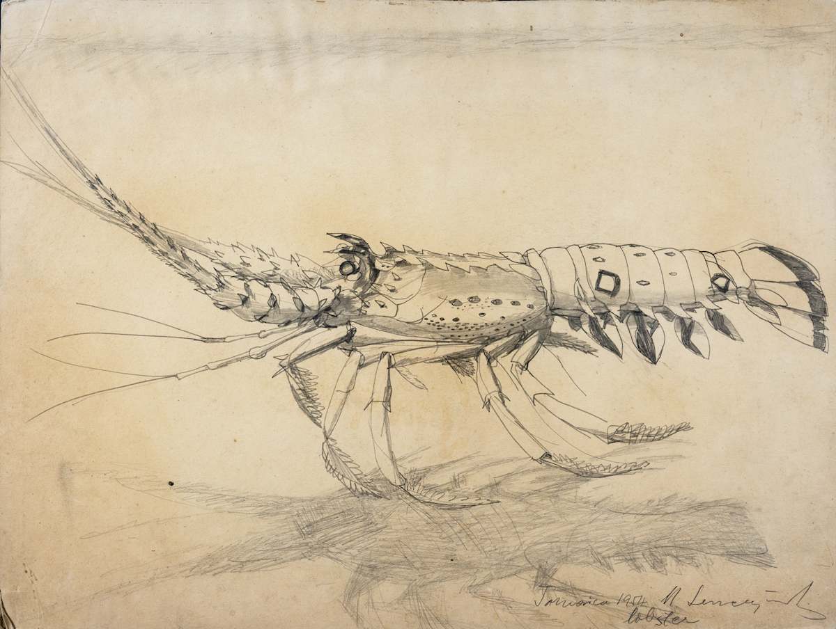 Lobster by Michael Lester, Image 1.